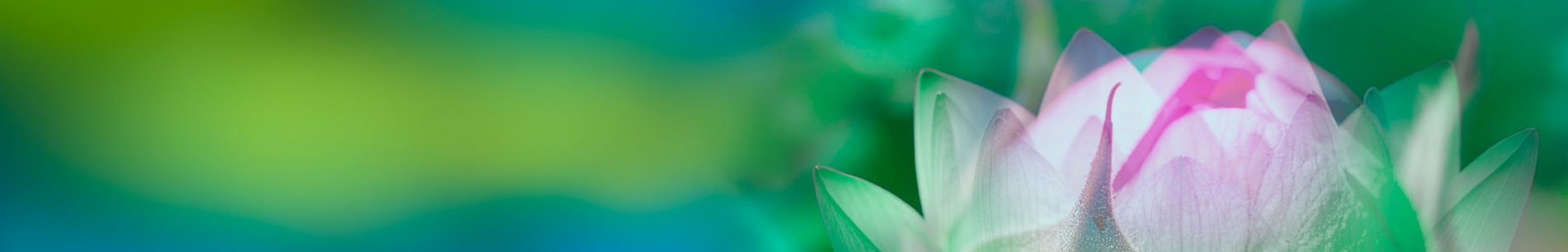 Программы обучения | фото №2