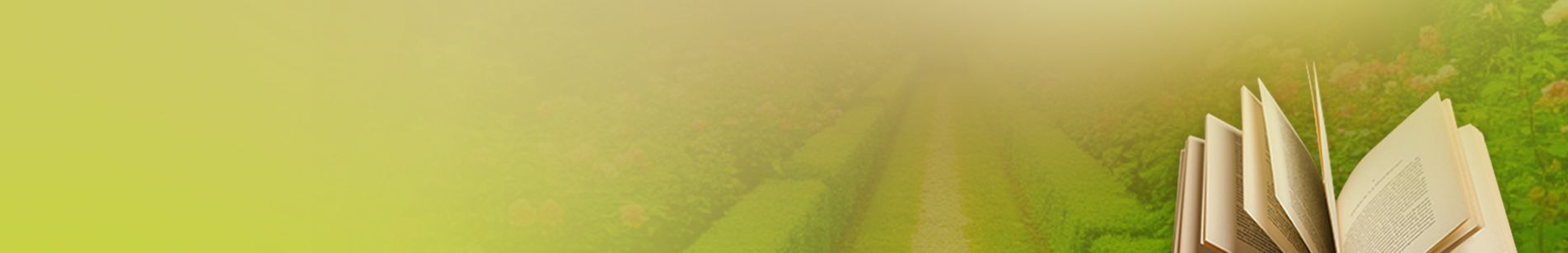 Программы обучения | фото №2