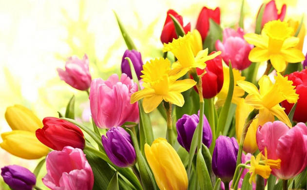 С праздником, прекрасная половина человечества! | фото №11