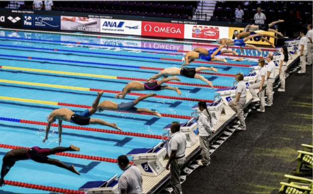 Соревнования по плаванию | фото №9