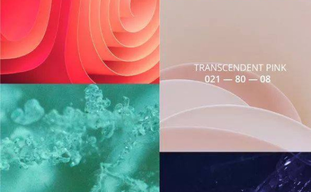 «Современные цветовые тренды: палитра 2025» | фото №5