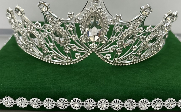 Весной 2024 года в Институте современного образования и информационных технологий пройдет конкурс красоты &laquo;Мисс институт-2024&raquo; | фото №4