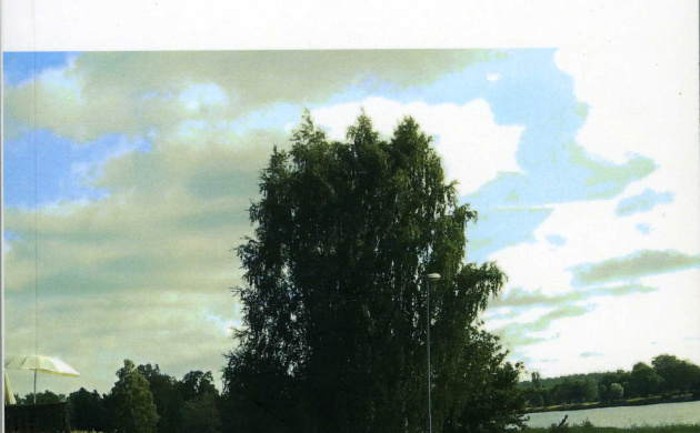 Вышел сборник стихов Круцко В.Г. &laquo;В-ЛАД-И-МИР&raquo; | фото №2