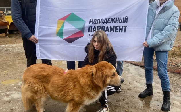 Психологи &ndash; волонтеры друзья животных! | фото №3