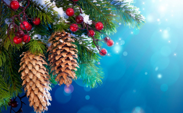 Празднование Нового 2016 года на кафедре туризма | фото №2