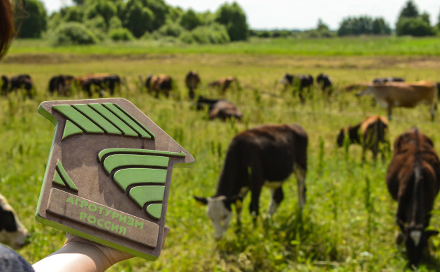 Студенты кафедры Туризма выиграли  во Всероссийской  (с международным участием) межвузовской кейс-олимпиаде &laquo;Развитие агротуризма в РФ: Новый взгляд&raquo; | фото №6